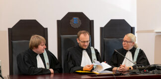 A Summary of the Procedural Statistics of the County, Administrative and Circuit Courts 2019: Resolved Matters (Including Paperless Procedure) and the Average Workload of a Judge